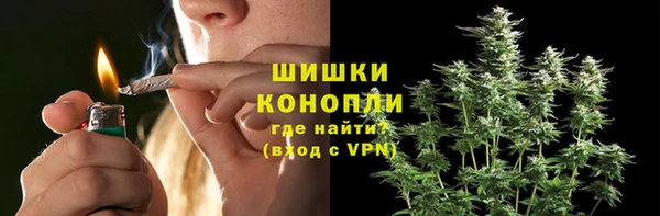 гашик Балахна