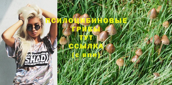 марихуана Баксан
