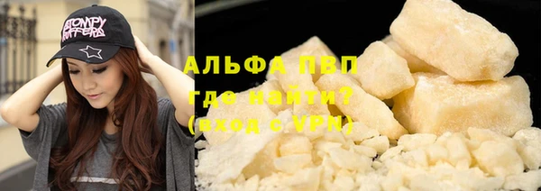 гашик Балахна