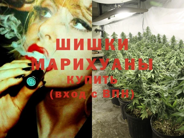 гашик Балахна