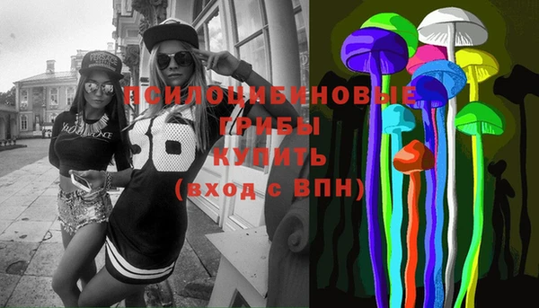 гашик Балахна