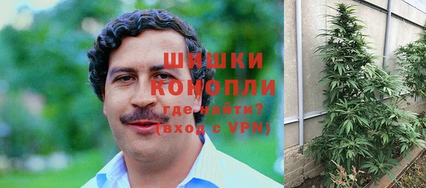 гашик Балахна