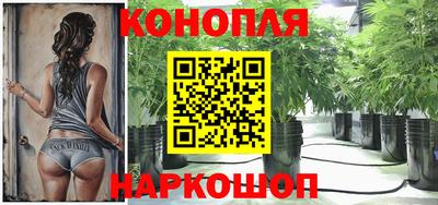 гидропоника Камышлов