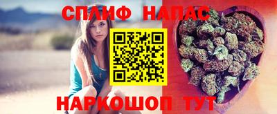тгк Канаш
