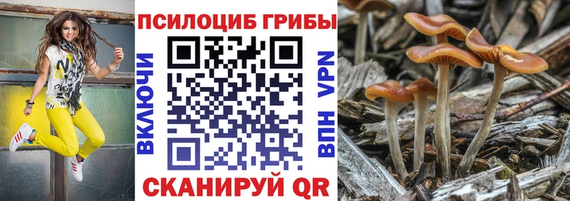 что такое   Барабинск  Галлюциногенные грибы мицелий 